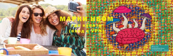 ПСИЛОЦИБИНОВЫЕ ГРИБЫ Иннополис